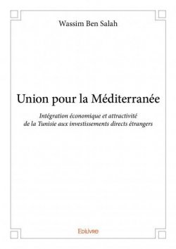 Union for the Mediterranean