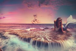 Le chant des belles sirènes